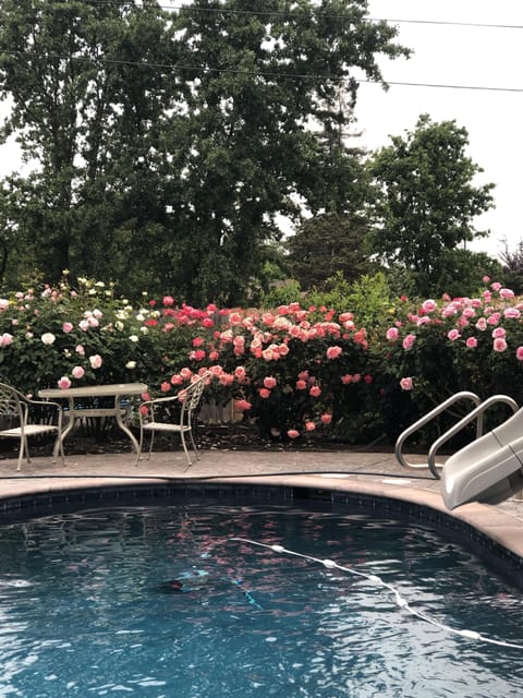 Pool with slide-available with mutual agreement