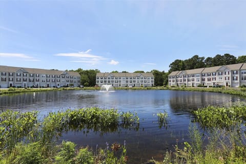 ,Providence Pond,
