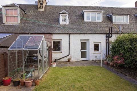 Back Garden with Sheds and Green House