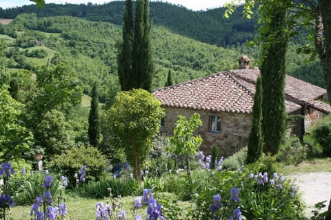 The Padronale Farmhouse looks out over the beautiful valley.
