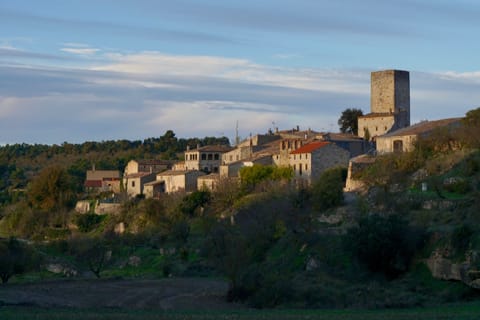 Village