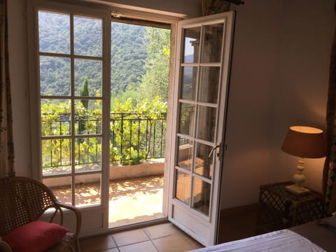 Master  Bedroom Veranda to private grape-vine.