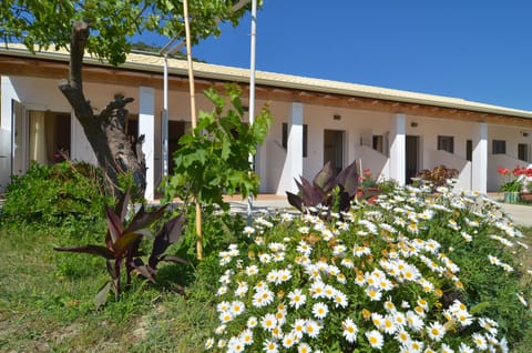 White House Pagoi Apartment