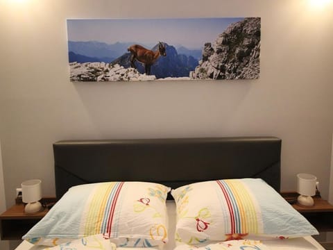 Apartment 06 - Apartment house Lercher Apartment in Carinthia, Austria