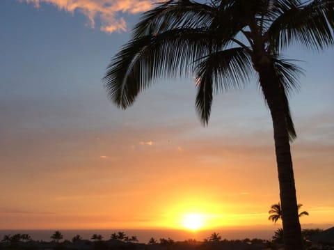 Your Sunset
Aloha 