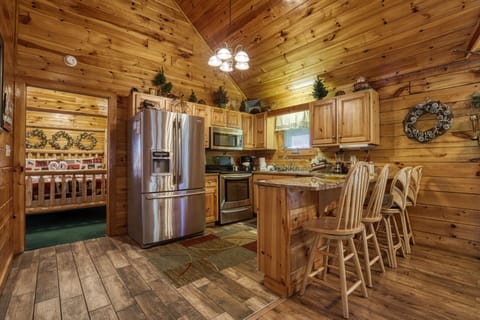 Smoky Mountain Cabin Rental - Three Bears - Kitchen with stainless steel appliances