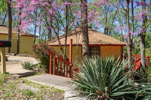 Steps to entry walkway