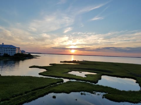 Amazing Sunsets