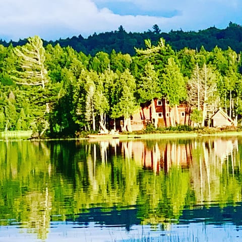 Island Cottage in summer from the water.