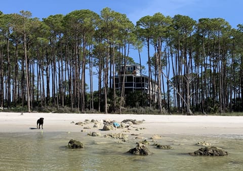 The perfect swimming beach