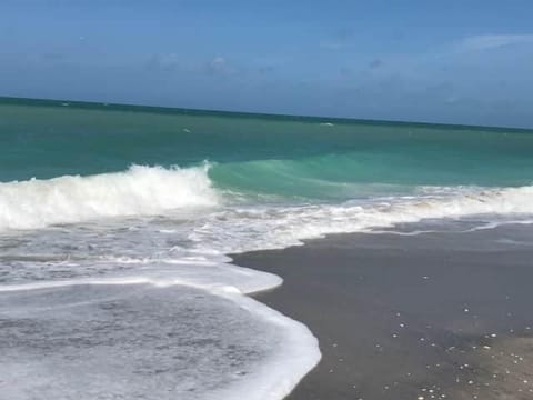 Beach View Out Front