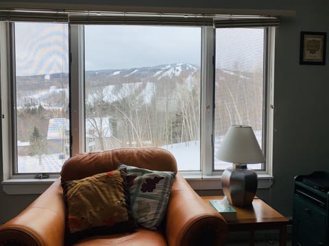 Great view of Mt Snow from Living Room. 