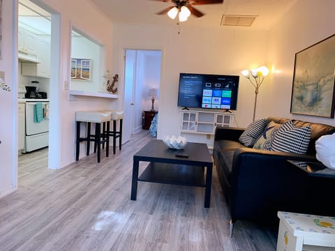 Living room with smart TV, couch and futon