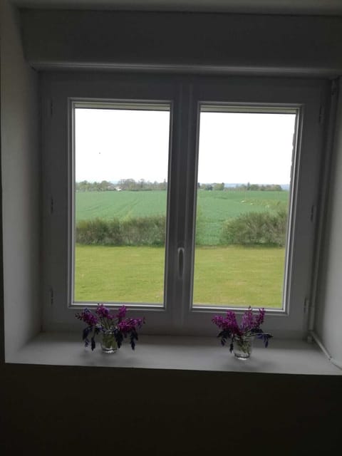 View from landing window