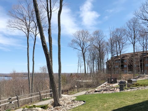 Outdoor picnic areas with gas grills located by each building