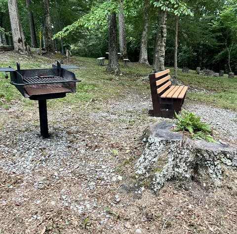 Make sure you bring charcoal and foil for the grills.