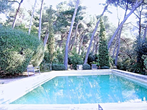 Very private 12x6 metre pool in outstanding garden