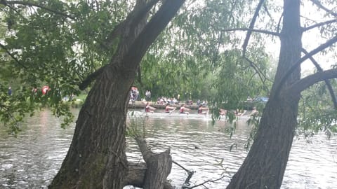 Sitting on the riverbank nearby,  watching the boatcrews practise for the races.