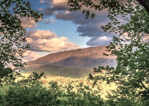 View from deck outside of family room