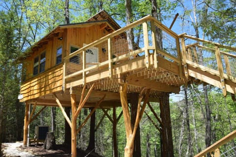 View from the side of the stairs leading to our treehouse
