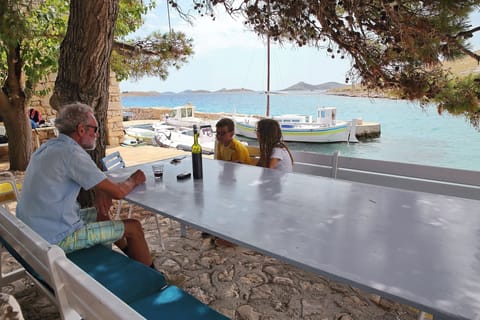 your place under the pine tree