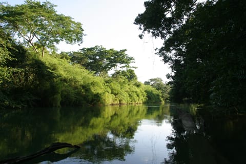 Cohune Palms River Cabanas: Private river cabanas just 2.5 mi from San Ignacio House in Cayo District