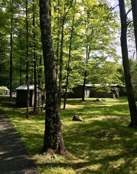 On the driveway, leading towards the house