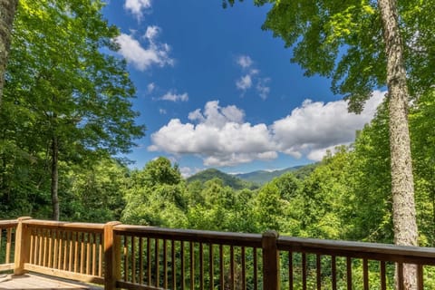 Deck views - Mountain Views