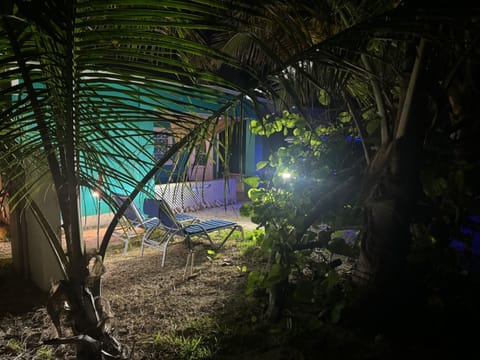 Relax under the swaying palms at night with the sounds of the ocean