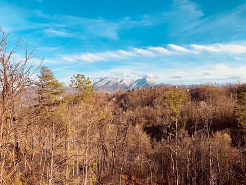 View of Mount LeConte from the upper level deck.