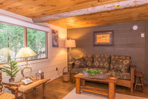 Queen Sleeper Sofa in Living Room