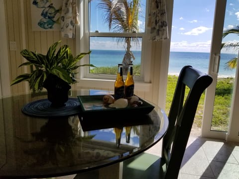 Your View From the Sunroom!
