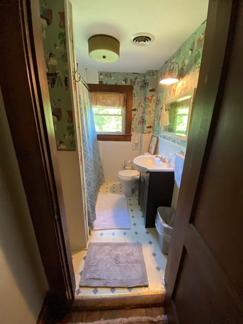 Whimsical upstairs bathroom 