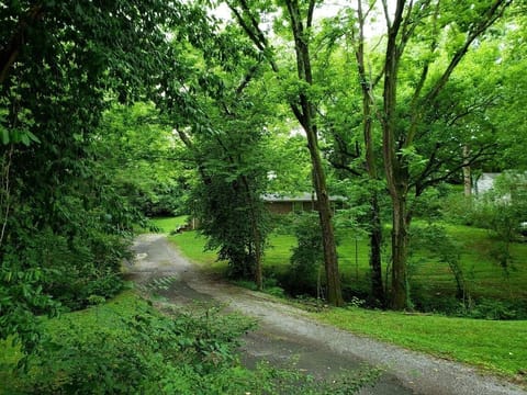 Peace and quiet and lots of green.