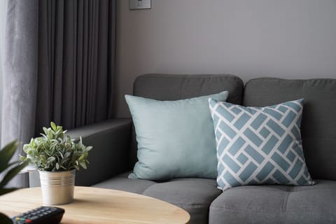 Cozy Living Area
