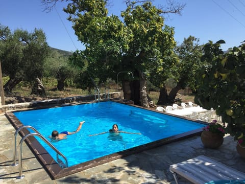 Villa Vlatos- Luxury Venetian style villa with private pool !