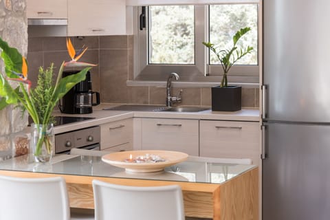 Modern kitchen with high quality appliances