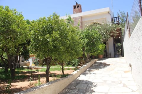  Ramp for easy access , garden with citrus trees and roses