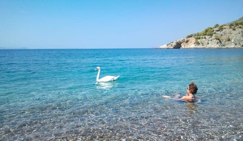 Crystal clear waters