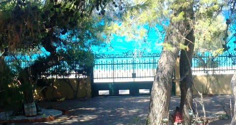 Sea view from the garden