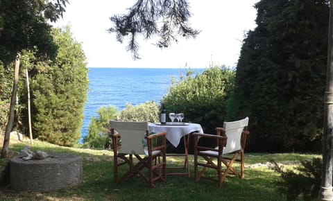 garden with seaview