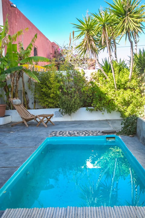 Wineryhouse the tiny pool