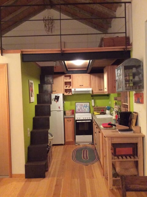 the kitchen fully equipped and renovated