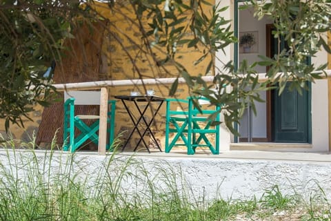 The apartment's patio is hidden in the olive trees