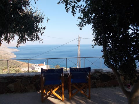 relaxing under the shadow