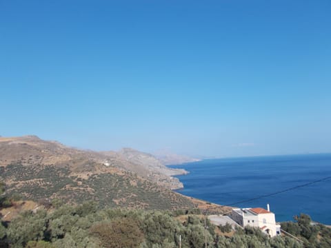 View from the terrace