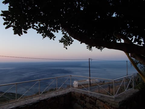 view from the terrace