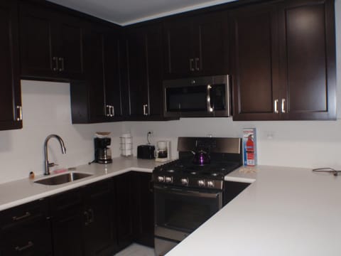 Top of the line Gas Cooking stove.  Brand new kitchen . It is just stunning.  