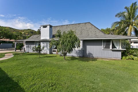 Mango, papaya and lime trees in the yard