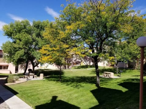 Exterior area- Quad Park